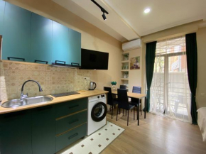 Comfortable apartment in the city